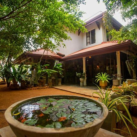 Evergreen Hotel Дамбулла Экстерьер фото